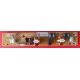 SUB ALIMENTATORE SONY APS-241 F 5 1-878-362-12 - CODICE A BARRE APS-241 F(CH)