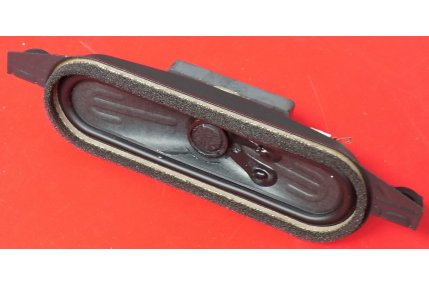  - Altoparlante R29-041308-G01-413-955