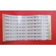 Flat INNOHIT Pannello - T-Con 31 X 62 mm - 60 pin