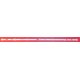 Barra Led SMART TECH SJ.CX.D3200701-2835GS-M 1.14.MD320066 170224 B-120T07V3C-170314D4- CX.D320S01-8416-HL1012 Smontata da Tv 