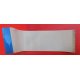 Flat SAMSUNG 31 X 116 mm - 30 pin