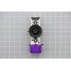 Ricevitore IR Viola + Tasto On Off BN96-26401E