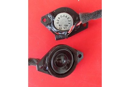  - ALTOPARLANTI PHILIPS 029G06E21