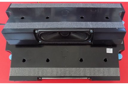  - Altoparlanti SAMSUNG Destro e Sinistro BN96-35006C Smontati da Tv Nuovo