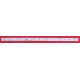BARRA LED HISENSE_50_HD500DU-B01_11X6_3030C_3S1PX2 1140066 115MA052 NUOVA - originale