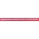 Barra Led PHILIPS GJ-2K17 CSP-315 PITCH 109 (614X12) V2.1 - originale