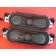 Coppia Altoparlanti per Monitor I PURE PV32
