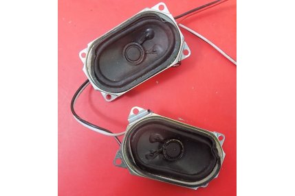  - Coppia Altoparlanti SAMSUNG LA22B360C5XZK CY01