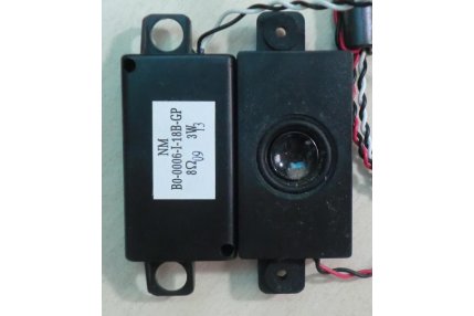  - COPPIA DI ALTOPARLANTI PER TV HANNSPREE T191H
