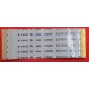 FLAT 21 X 59 mm - 40 pin