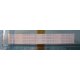 FLAT 25 X 175 mm - 50 pin