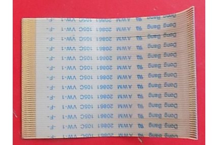  - FLAT GRUNDIG 31 X 48 mm - 60 pin
