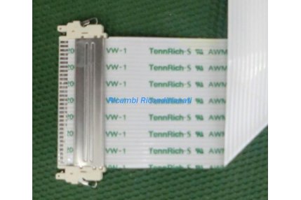  - FLAT GRUNDIG CON GANCETTO 31 X 299 mm - 30 pin TR 09 07 06 C1W