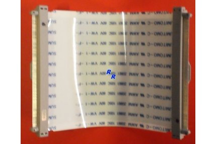 - FLAT PANASONIC CON GANCI MAIN - SCHEDA INGRESSI 45 x 65 mm - 80 pin
