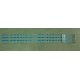 FLAT PHILIPS INVERTER - INVERTER 12 X 570 mm - 11 pin