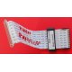 FLAT PHILIPS MAIN - PANNELLO CON GANCETTI 31 X 120 mm - 30 pin