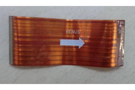  - FLAT SAMSUNG VENUS 31 X 80 mm - 30 pin