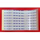 FLAT SCHAUB LORENZ 31 X 58 mm - 60 pin