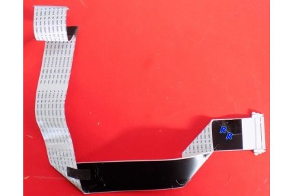  - FLAT SCHAUB LORENZ MAIN - T-CON CON GANCIO 31 X 448 mm - 30 pin