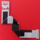 FLAT SONY MAIN - PANNELLO CON GANCETTO 31 X 306 mm - 30 pin