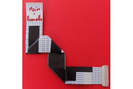  - FLAT SONY MAIN - PANNELLO CON GANCETTO 31 X 306 mm - 30 pin