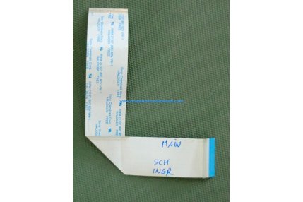  - FLAT SONY MAIN - SCHEDA INGRESSI 25 X 170 mm - 50 pin