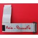 FLAT TCL CON GANCIO MAIN - PANNELLO 29 X 216 mm - 50 pin