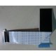 FLAT TOSHIBA CON GANCETTO 31 X 298 mm - 30 pin