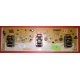 INVERTER FUNAI BL2500F01 021 - CODICE A BARRE 7145591